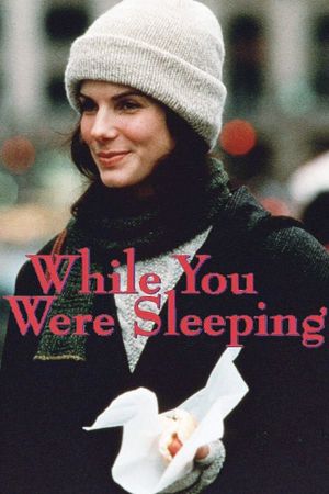 While You Were Sleeping's poster