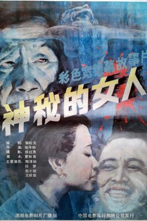 神秘的女人's poster