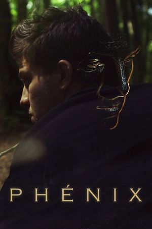 The Phoenix's poster