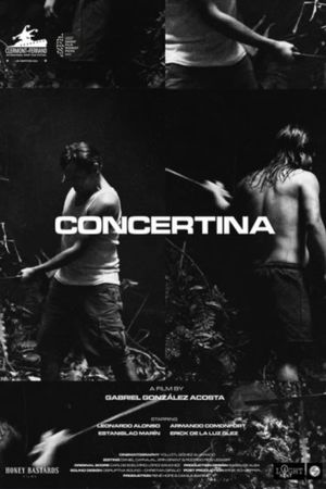 Concertina's poster