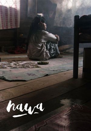 Hawa's poster image