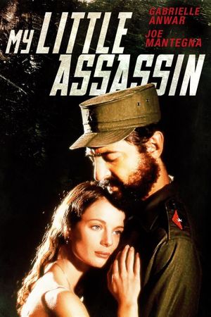 My Little Assassin's poster