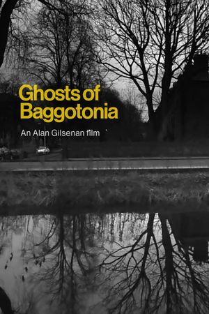 Ghosts of Baggotonia's poster