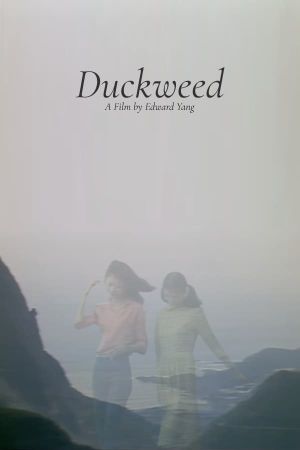 Duckweed's poster image