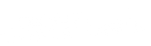 Bone Tomahawk's poster