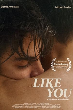 Like You's poster