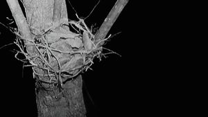 Sticks and Stones: Investigating the Blair Witch's poster