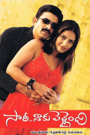 Sorry Naku Pellaindi's poster