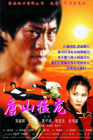 Dragon the Master 2's poster