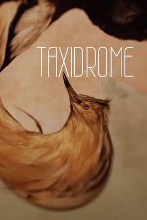 Taxidrome's poster