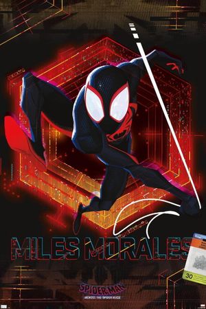 Spider-Man: Across the Spider-Verse's poster