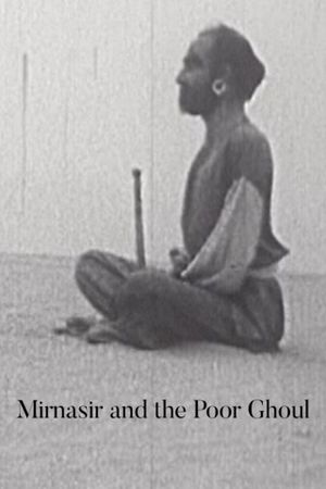 Mir Nassir and the Ill-starred Ogre's poster
