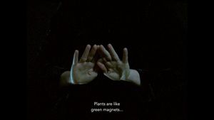 Palomacia's poster