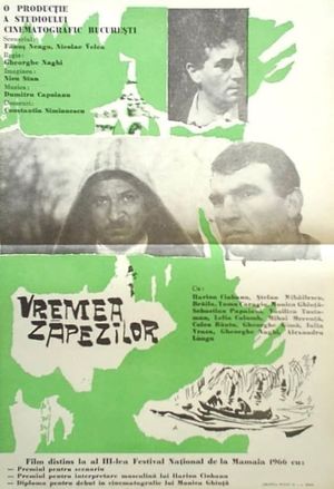 Vremea zapezilor's poster