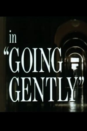 Going Gently's poster