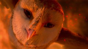 Legend of the Guardians: The Owls of Ga'Hoole's poster