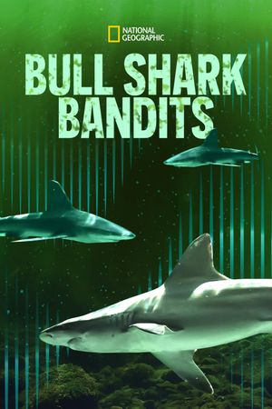 Bull Shark Bandits's poster