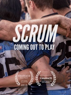 Scrum's poster