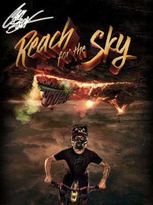 Reach for the Sky's poster