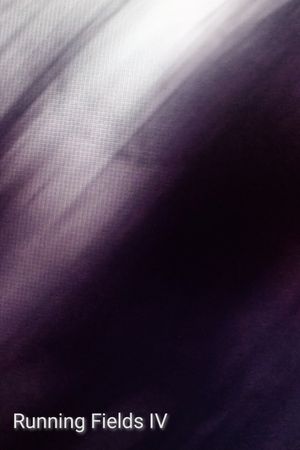 Running Fields IV's poster