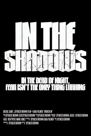 In The Shadows's poster