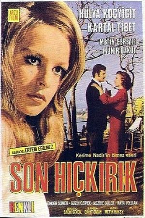 Son Hiçkirik's poster
