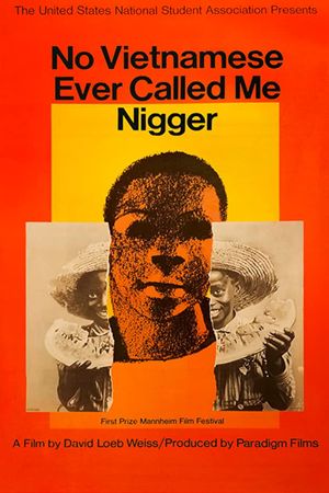 No Vietnamese Ever Called Me Nigger's poster