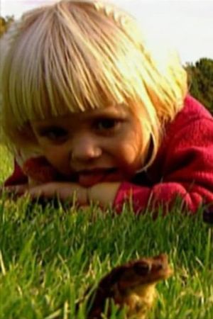 Myten om prinsgrodan's poster