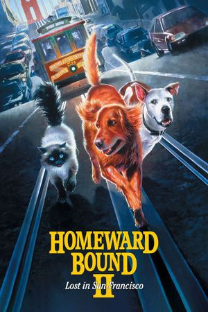 Homeward Bound II: Lost in San Francisco's poster