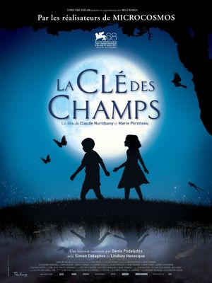 The Field of Enchantment's poster