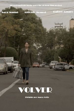 Volver's poster