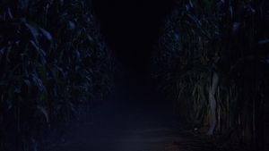 Signs's poster