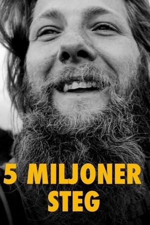 5 miljoner steg's poster