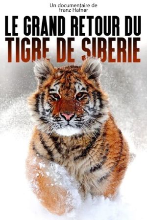 The Great Return of the Siberian Tiger's poster image