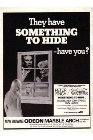 Something to Hide's poster