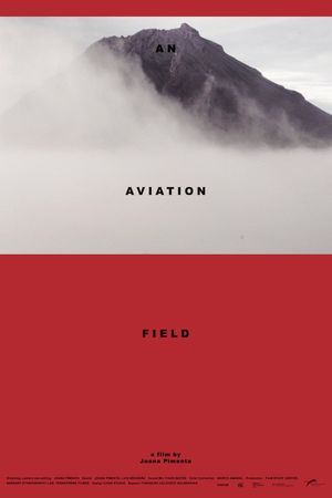 An Aviation Field's poster