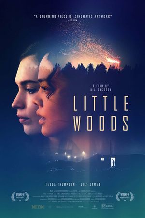 Little Woods's poster