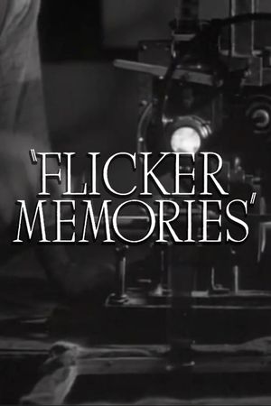 Flicker Memories's poster