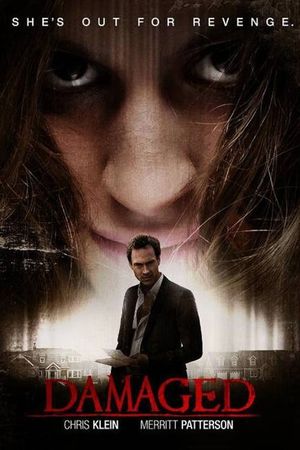 Damaged's poster