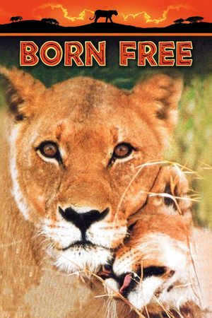 Born Free's poster