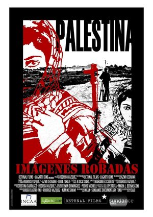 Palestine: Stolen Images's poster