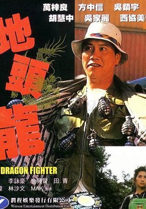 The Dragon Fighter's poster image