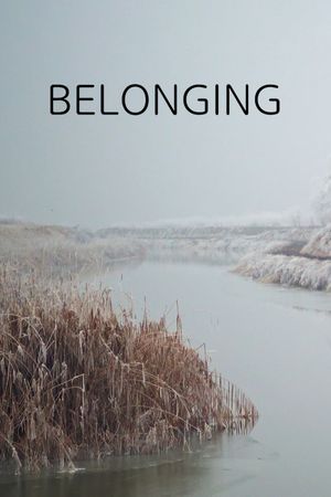 Belonging's poster