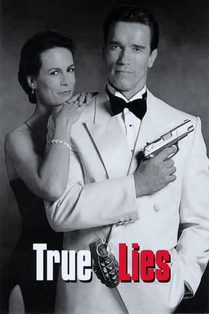 True Lies's poster