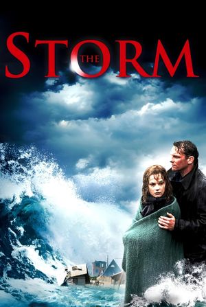 The Storm's poster
