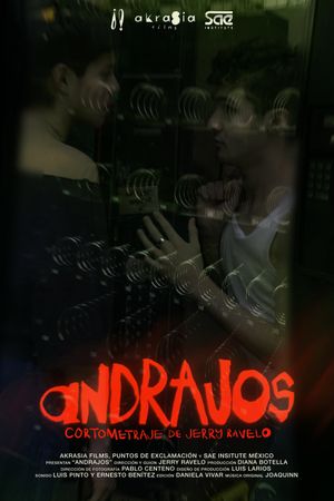 Andrajos's poster
