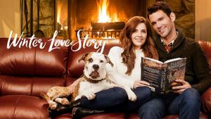 Winter Love Story's poster