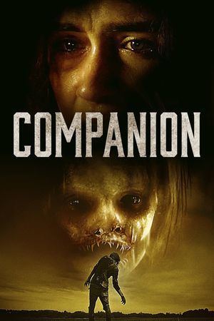 Companion's poster