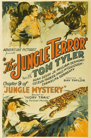 Jungle Mystery's poster