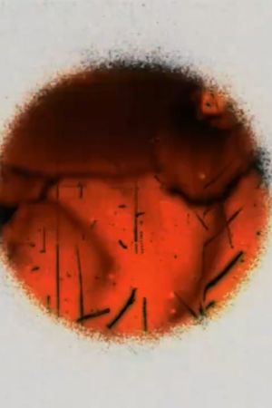 Cerclitudes II's poster
